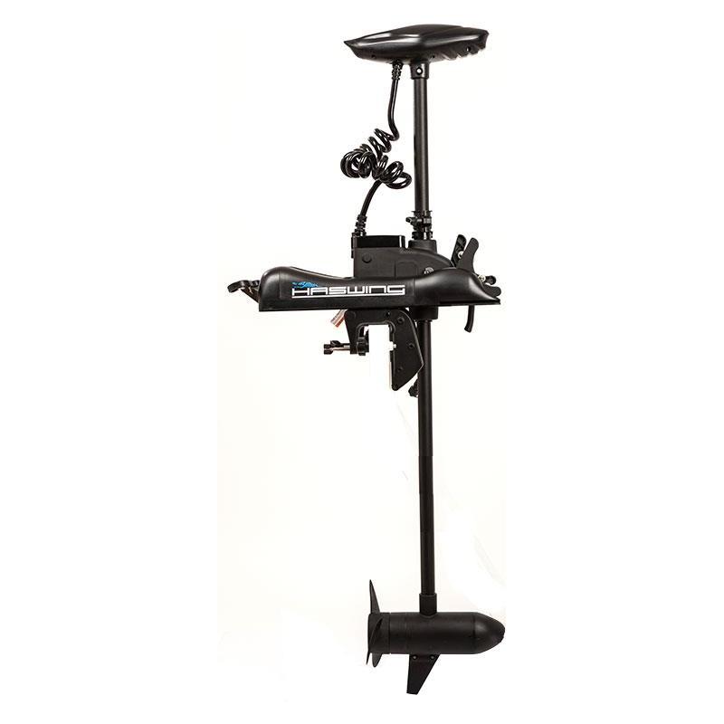 Cayman b 55 lbs de chez Haswing