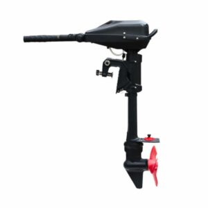 Moteur Électrique Haswing Brushless Armada T8 250Lbs 48V