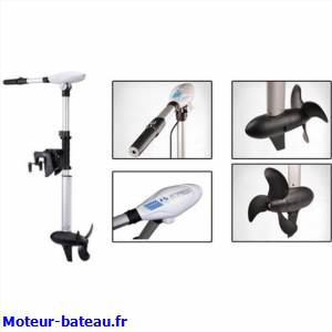Protruar 2s 101 lbs de chez Haswing